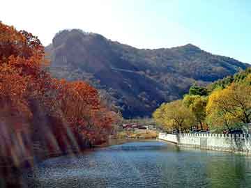 新澳天天开奖资料大全旅游团，鲸鱼呕吐物